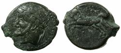 Ancient Coins - NUMIDIA.Massinissa or Micipsa circa 203-148-118 BC.AE.