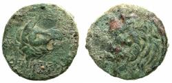 Ancient Coins - SELEUCID EMPIRE.Demetrius I Soter 162-150 BC.AE.26.4mm. Uncertain mint. Head of Boar right. Reverse.Head of Lion left.