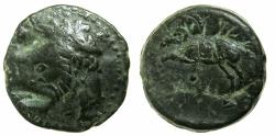 Ancient Coins - NUMIDIA.Massinissa or Micipsa circa 203-148-118 BC. AE.26.2mm.Reverse.Horse.