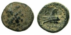 Ancient Coins - PHOENICIA.ARADUS.2nd -1st cent BC.AE.16mm.