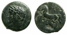 Ancient Coins - NUMIDIA.Massinissa or Micipsa circa 203-148-118 BC.26.4mm