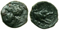 Ancient Coins - APULIA.ARPI.circa 3rd cent.BC.AE.14.7mm.Zeus.~#~.forepart of Boar.