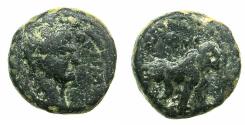 Ancient Coins - JUDAEA.SAMARIA.Caesarea Maritima.Trajan AD 98-117.AE.11.2mm. Reverse.Lion.
