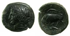 Ancient Coins - SICILY.SYRACUSE.Agathokles 317-289 BC.AE.Hemilitron.struck Circa 317-310 BC.Head of Kore. Butting bull. Artistic dies, exceptional for issue.