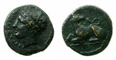 Ancient Coins - SICILY.SYRACUSE.Agathokles 317-289 BC.AE.13.3mm ( Hexas?).1st period 317-305 BC.Reverse. recumbent Dog. ***Extremely Rare issue of Agathokles ***