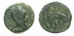 Ancient Coins - Artaxiads of ARMENIA.Tigranes IV 8-5 BC.AE.16.7mm.~#~.Elephant standing left.