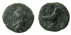 Ancient Coins - Artaxiads of ARMENIA.Tigranes IV 8-5 BC.AE.14.5mm. Reverse. Eagle standing right. ***Rare varient***