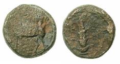 Ancient Coins - CYRENAICA.CYRENE.Circa 300 BC.AE.16.4mm. Gazelle left /  Silphium plant.
