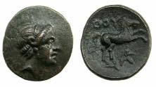 Ancient Coins - LUCANIA.THURIUM.Circa 300 BC and later.AE.14.9mm. Apollo.Prancing horse.