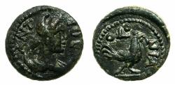 Ancient Coins - PISIDIA.ANTIOCH.Antoninus Pius AD 138-161.AE.12.9mm. Unpublished legend variant. Reverse.Cockerel