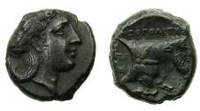 Ancient Coins - ITALY.CAMPANIA.NEAPOLIS.Circa 340-280 BC.AE.16.1mm. Apollo. Reverse.Man headed bull.
