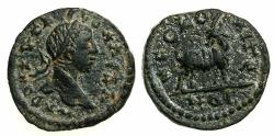 Ancient Coins - CILICIA.AEGEAE.Severus Alexander AD 222-235.AE.16.8mm.struck A|D 231/32. Goat. Two examples recorded in RPC IV.