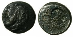 Ancient Coins - BLACK SEA.PANTIKAPAION.Circa 3rd Cent BC.AE.21mm
