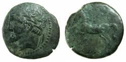 Ancient Coins - NUMIDIA.Massinissa or Micipsa circa 203-148-118 BC. AE.26.3mm.Reverse.Horse.