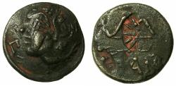 Ancient Coins - BLACK SEA.PANTIKAPAION.Circa 3rd Cent BC.AE.24mm