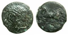 Ancient Coins - NUMIDIA.Massinissa or Micipsa circa 203-148-118 BC.AE.26.5mm