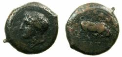 Ancient Coins - SICILY.ANDRANON.Circa 345 BC.AE.Litra ( 21.4mm ) Obverse. Head of river god Adranus.