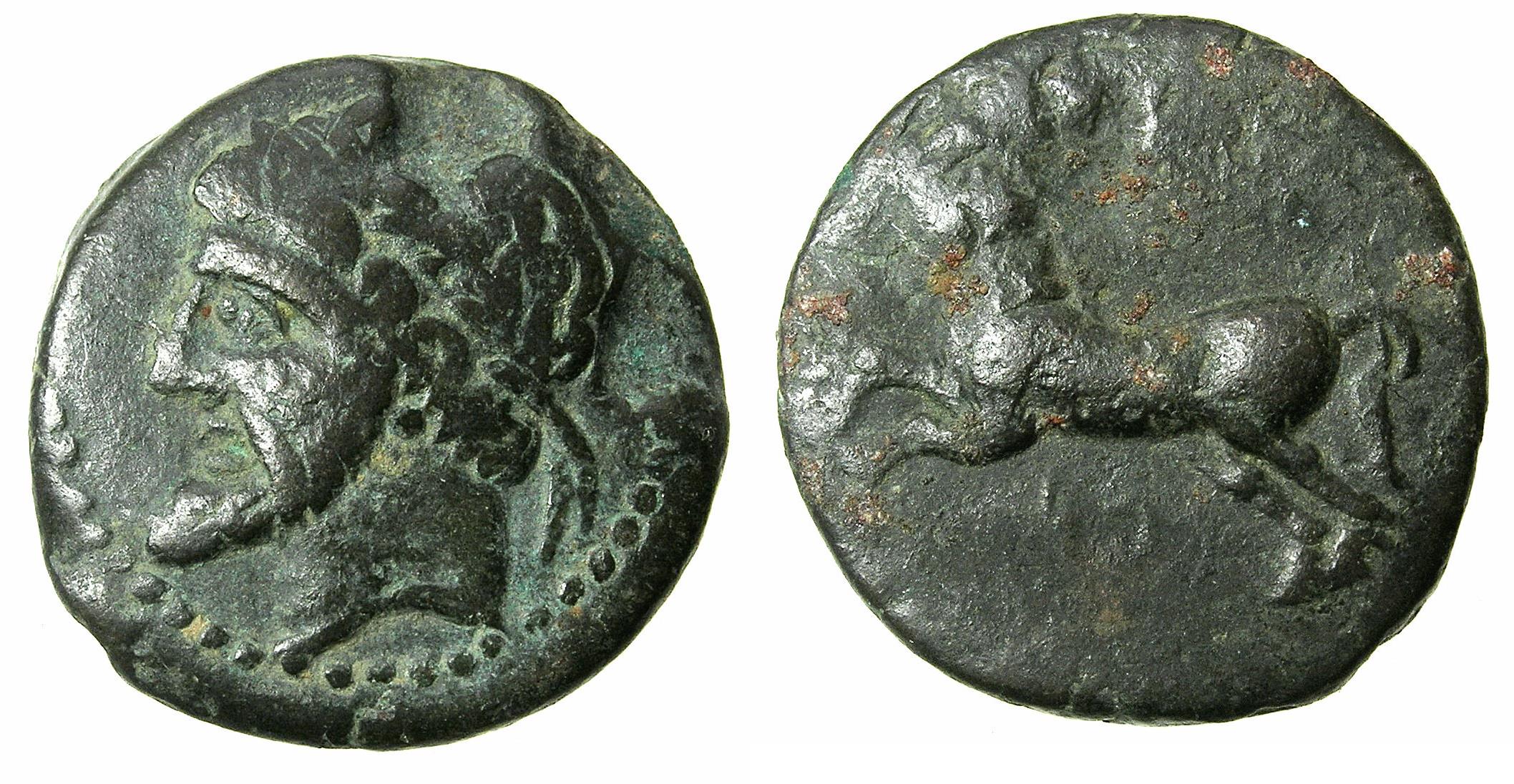 Micipsa Coin NUMIDIA.Massinissa or Micipsa circa 203-148-118 BC.AE. | Greek Coins