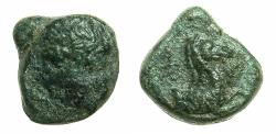 Ancient Coins - SICILY.PANORMOS.Circa 3rd cent.BC.AE.13.2mm. Rare issue :  Obverse laurate head of Zeus.