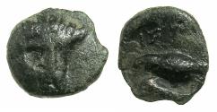 Ancient Coins - MOESIA.ISTRUS.Circa 4th-3rd Cent.BC.AE.13.3mm.