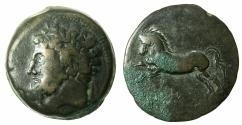 Ancient Coins - NUMIDIA.Massinissa or Micipsa circa 203-148-118 BC.AE.