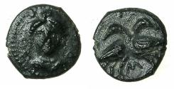 Ancient Coins - LUCANIA.LAOS (LAUS). Circa 350-300 BC.AE.12.1mm. Reverse. Two crows passing each other. VERY RARE.