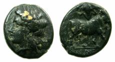 Ancient Coins - CAMPANIA.NEAPOLIS.Circa 320-280 BC.AE.16mm. Reverse. Man-headed bull with bunch of grapes above.