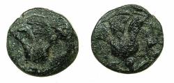 Ancient Coins - CARIA.RHODES, Island of. Circa 394-304 BC.AE.Chalkous. Rose bud both sides.