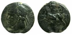 Ancient Coins - NUMIDIA.Massinissa or Micipsa circa 203-148-118 BC.AE.25mm.