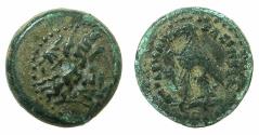 Ancient Coins - PTOLEMAIC EMPIRE.Ptolemy III Euergetes I 246-221 BC.AE.12.9mm. Unknown mint in Asia Minor.