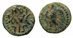 Ancient Coins - PHOENICIA.BERYTUS.Augustus 27BC -14AD.AE.13.5mm. struck circa 12-14 AD under Silanus legatus Syriae.