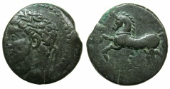 Ancient Coins - NUMIDIA.Massinissa or Micipsa circa 203-148-118 BC.AE.26mm.