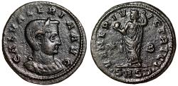 Ancient Coins - Galeria Valeria (Wife of Galerius) AE Follis "Venus" Serdica Very Fine