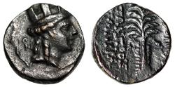 Ancient Coins - Cilicia, Hierapolis AE12 "Tyche & Date Palm Tree" Rare Extremely Fine