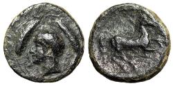 Ancient Coins - Zeugitania, Carthage AE16 "Male Head in Grain Ears / Horse" Scarce