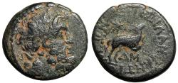 Ancient Coins - Antioch Pseudo-Autonomous Issue "Ram Looking at Star" 13/14 AD