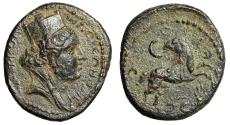 Ancient Coins - Seleucis and Pieria, Antioch "Tyche & Ram, Crescent, Palm" Extremely Fine