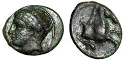 Ancient Coins - Sicily, Soloi AE14 "Apollo & Horse Forepart, Dolphin" Good Very Fine
