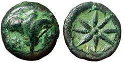 Ancient Coins - Mithradates VI (King of Pontos) "Rose Flower / Star, Crescents"