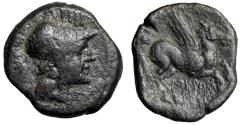 Ancient Coins - Bruttium, Lokroi Epizephyrioi AE17 "Athena & Pegasus (Pegasos)" Scarce VF