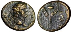 Ancient Coins - Nero AE20 of Elaea, Aeolis "Poppy Between Grain Heads" Good Very Fine
