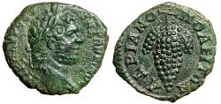 Ancient Coins - Caracalla AE19 of Hadrianopolis, Thrace "Bunch of Grapes" Extremely Fine