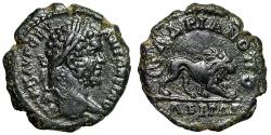 Ancient Coins - Caracalla AE18 of Hadrianopolis Thrace "Lion Walking" Rare