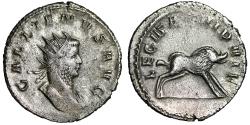 Ancient Coins - Gallienus AR Antoninianus "LEG I ITAL Boar" Rare Good Very Fine
