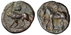 Ancient Coins - Cyprus, Salamis AE16 "Lion, Rams Head / Horse, Ankh" Rare Extremely Fine