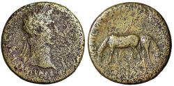 Ancient Coins - Nerva Sestertius "Two Horses Grazing, Yoke in Background" Rare