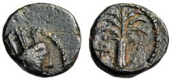Ancient Coins - Phoenicia, Tyre AE11 "Palm Tree, Monogram of Tyre" Rare