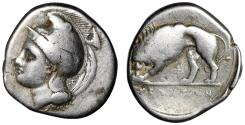 Ancient Coins - Lucania, Velia AR Nomos "Athena & Lion Devouring Prey, Phi Below" Fine
