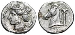 Ancient Coins - Sicily, Entella Siculo-Punic AR Tetradrachm "Arethusa & Horse Palm" Very Fine