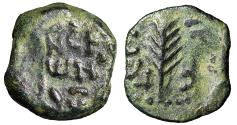 Ancient Coins - Porcius Festus, Judean Procurator "Palm Branch" Jerusalem Time of Nero